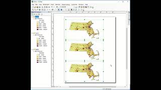 AUM - SSGIS - Copying data frames and alignment in ArcMap Layout View