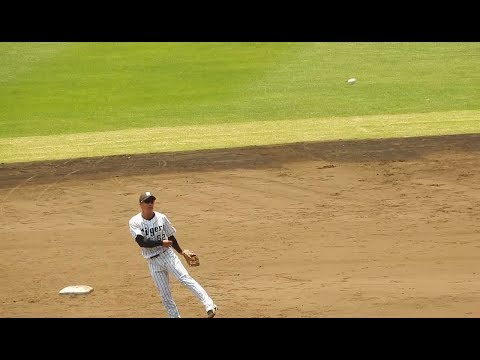 阪神タイガース2017/ただいま技術を磨き中の植田選手(2017.06.10)