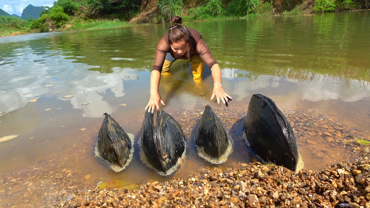 Digging out a century old clam from fresh water, the pearls inside the clam pile up like a mountain
