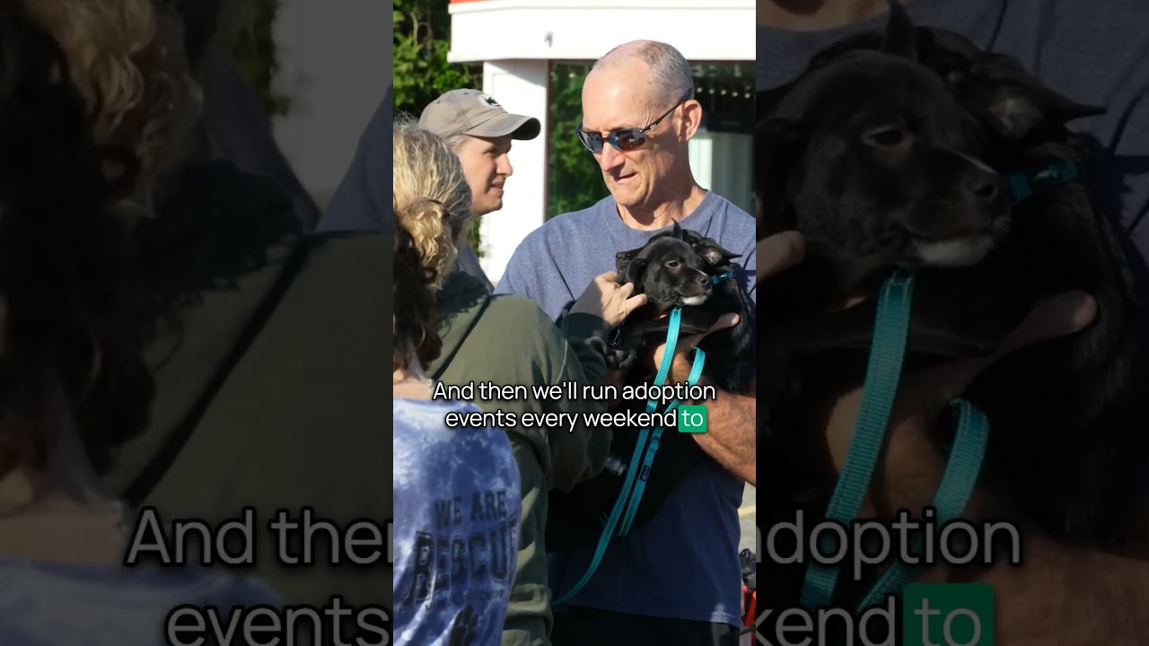 Mark Freeley offers pro bono services for Last Chance Animal Rescue. 🐾