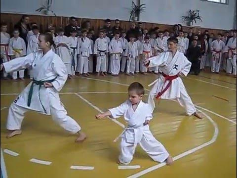 Тайкиоку Шодан Хейан Шодан