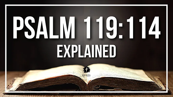 PSALM 119:114 Explained - What Does The Bible Verse PSALM 119:114 [KJV] REALLY Mean?