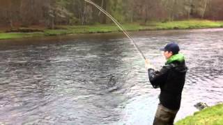 Jonke Drillar Springer I Scobboc, River Dee