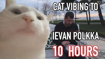 Pop Cat VS Vibing Cat