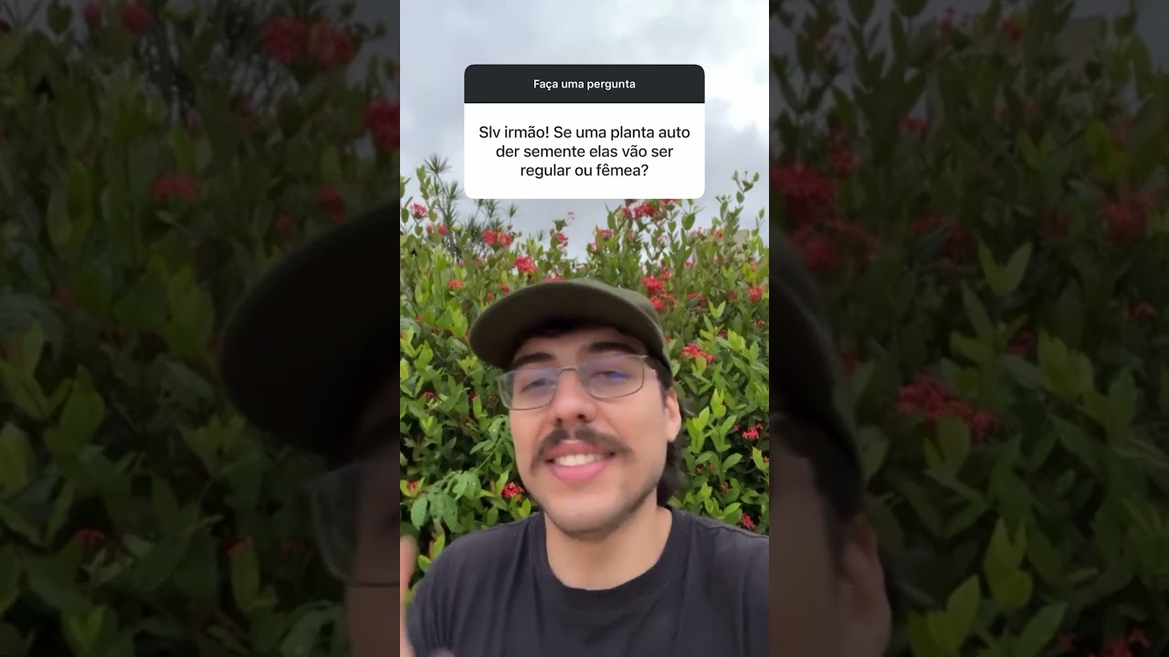 AUTOMÁTICA gerando SEMENTES - qual o resultado?