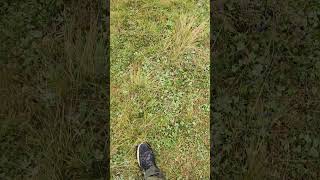 Volkan Konak - Doğrudur