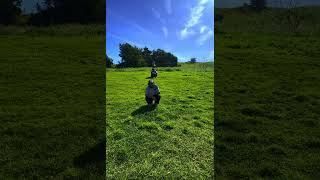 Andrew Schultz ￼Twin