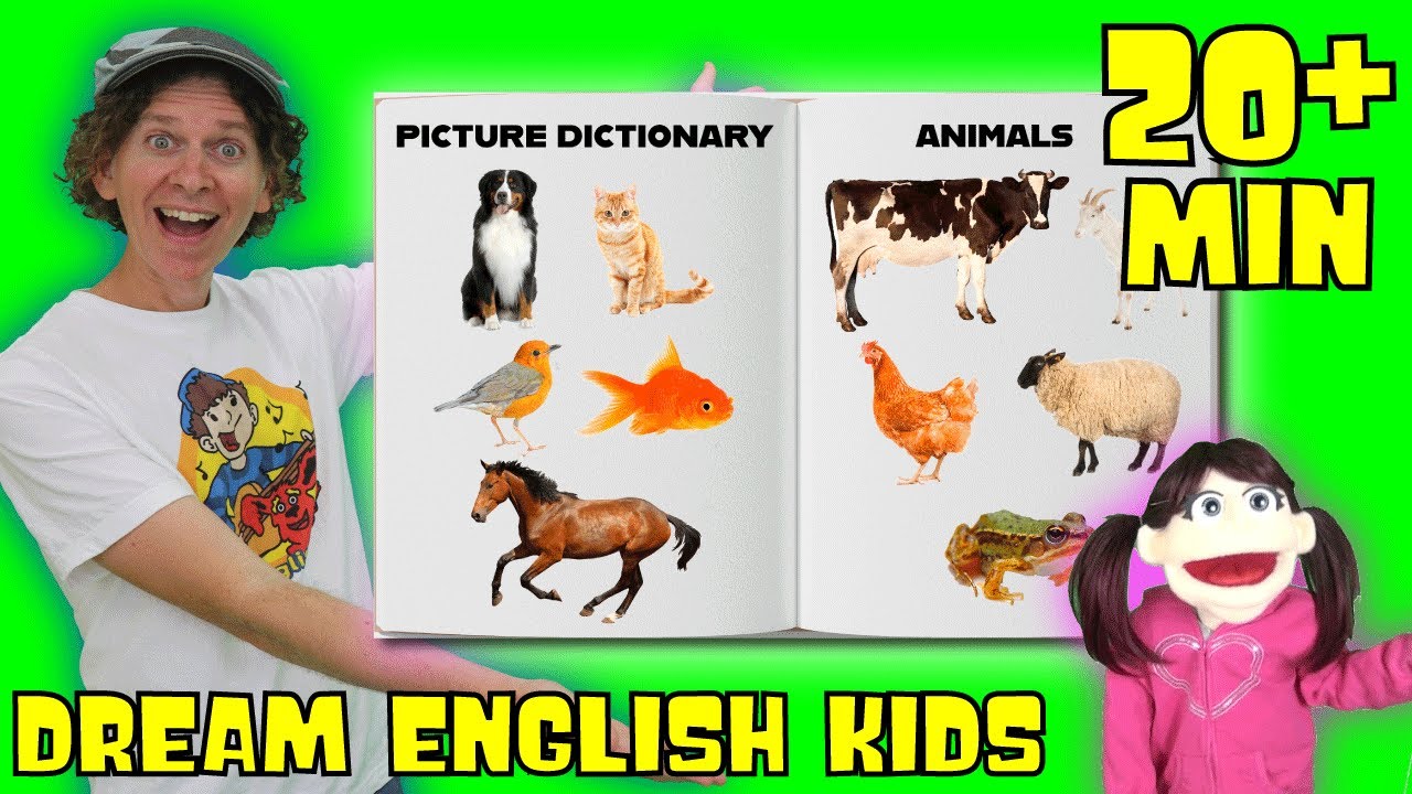 Animals Picture Dictionary And More Dream English Kids YouTube Animals Picture Dictionary And More Dream English Kids YouTube