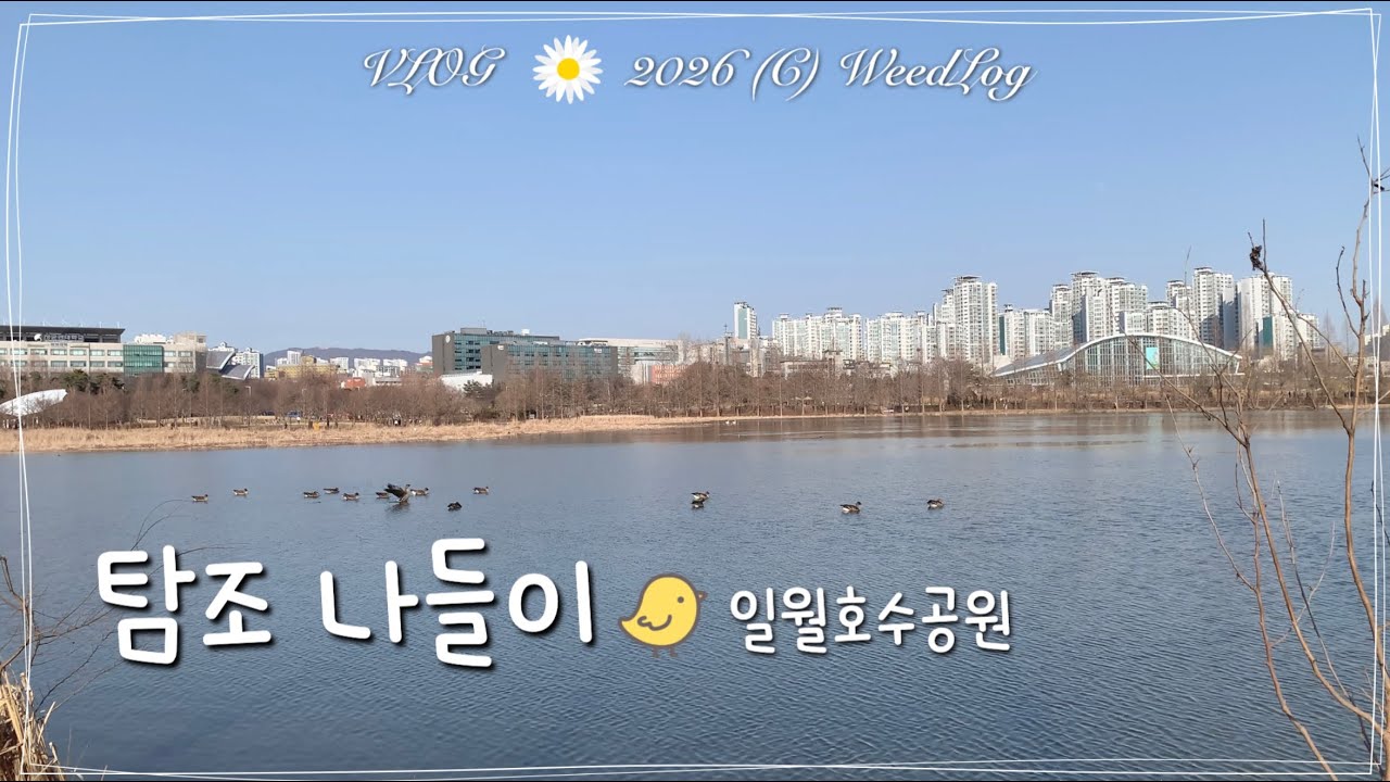 vlog 결혼 18년차 부부의 데이트 코스 수원 일월수목원, 인생 첫 주식의 추억, 내 고양이랑 벽장 정리하는 일상 브이로그 / 위드로그 2026년 2월 4주