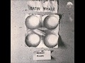 Satin Whale - &#39;&#39;Perception&#39;&#39;