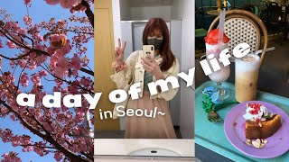 A Day of my Life in Korea  (dinosaur cafe, meeting a new friend, spring in Seoul, busking) vlog~