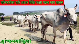 ব্রাহ্মনবাড়িয়ার বিখ্যাত বাইশমৌজা হাট থেকে বিক্রি হওয়া গরু ছাগল ও মহিষের দাম জানুন@safollo tv 24