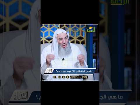 ما لا عين رأت ولا فضيلة الشيخ د محمد حسان