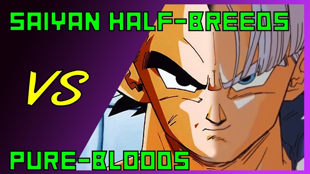 Saiyan half-bloods VS pure bloods | DBZ hybrid theory - The Saiyan biology