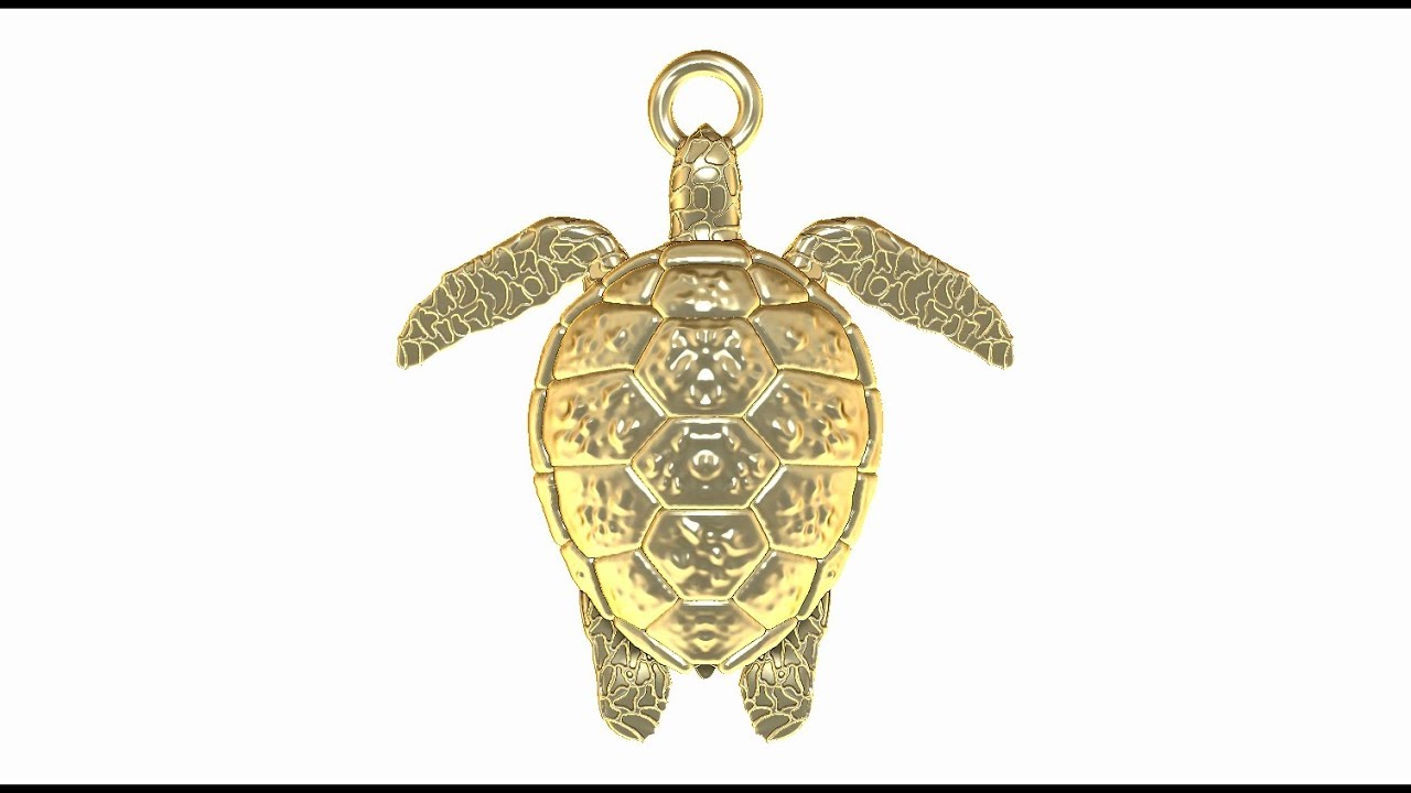 Turtle Locket