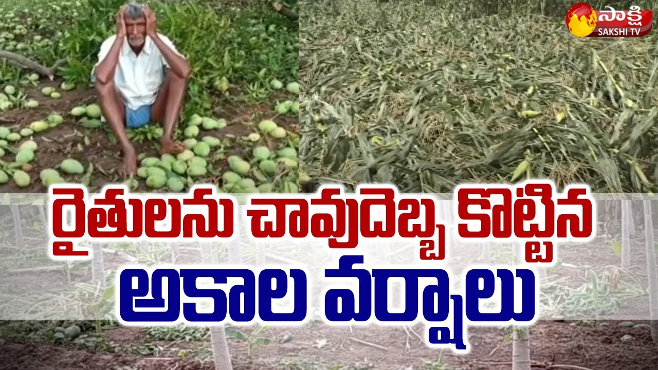 Farmers Heavy Loss Due To Sudden Rains in Telangana | Errabelli Dayakar ...