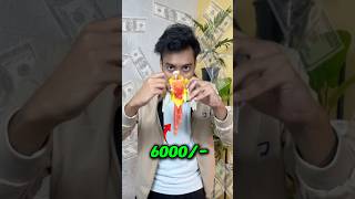 200/- VS 6000/- Rupee Paroot #birds #minivlog  #parakeet