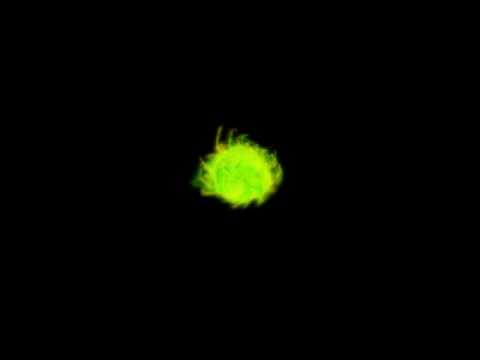 LWJGL Particle System
