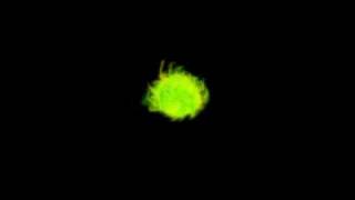 LWJGL Particle System