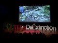 Ancient DNA -- What It Is and What It Could Be: Beth Shapiro at TEDxDeExtinction