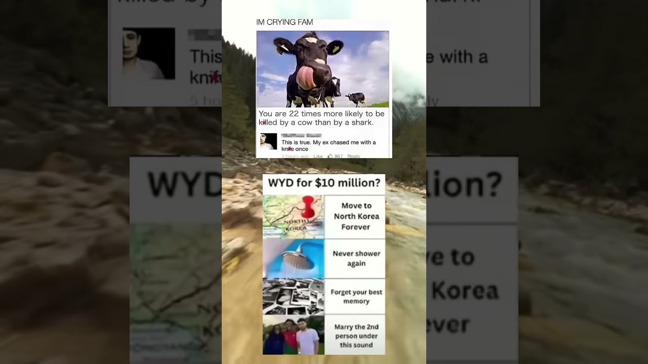 4a Memesdaily Memes Zyxabc Funnyimages