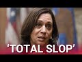 ‘Total slop’: Inside the Democrats’ ‘rushed’ election autopsy report disaster
