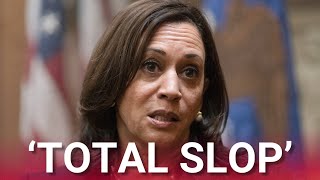 ‘Total slop’: Inside the Democrats’ ‘rushed’ election autopsy report disaster