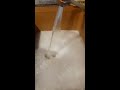 Eau trouble et mousseuse au Lamentin