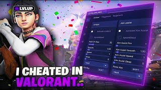 Reviewing the BEST Valorant ColorBot (Free?)