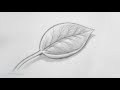 How to Draw & Shade a Leaf (Sketching Practice Tutorial)