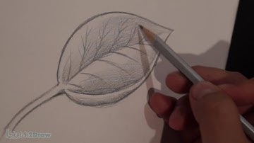 How to Draw & Shade a Leaf (Sketching Practice Tutorial)