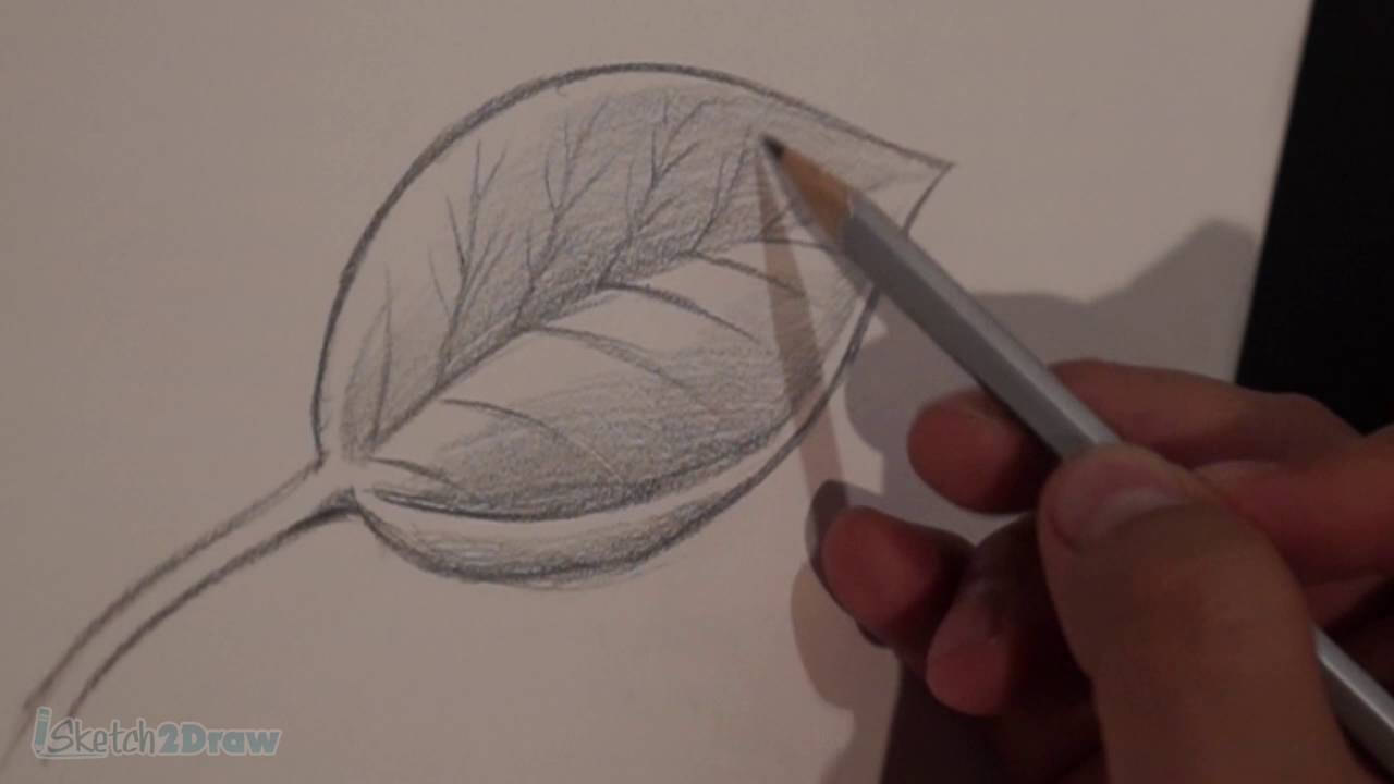 How to Draw & Shade a Leaf (Sketching Practice Tutorial) - YouTube