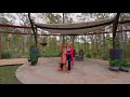 Private forest retreat with dual living for AirBNB income