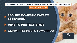 Eau Claire committee to consider new cat ordinance
