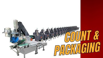 Fully Automatic Plastic Bag  LEGO Building Blocks Toys Bricks Counting Packing Machine