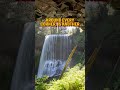 Silver Falls State Park Oregon  #waterfallsvideos #roadtripvibes #waterfallhikes #waterfallbeauty