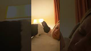Rabbit waking sleeping girl