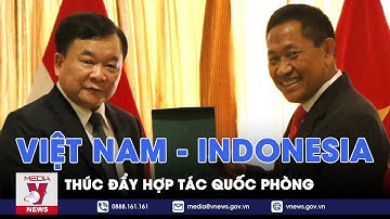 Việt Nam, Indonesia thúc đẩy hợp tác quốc phòng - VNEWS