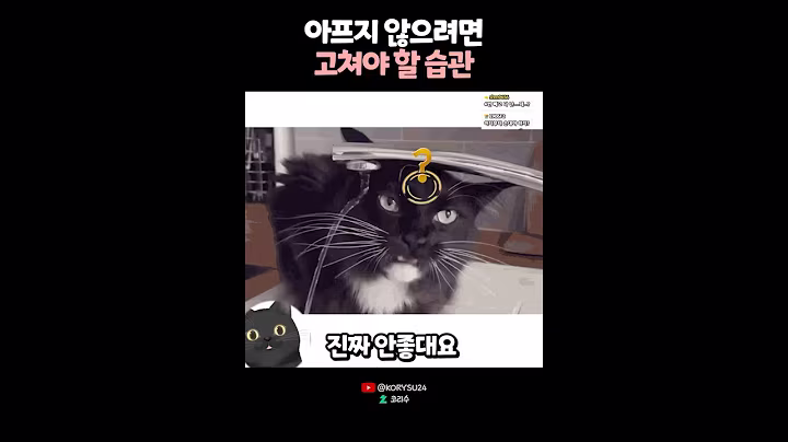 아프지 않으려면 고쳐야 할 습관들 😿