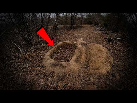 5 Most Disturbing Things Discovered in Forests