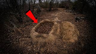 Famous 5 Most Disturbing Things Discovered in Forests Profile