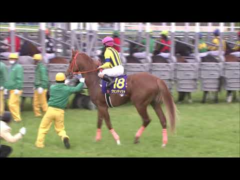 これがゴルシ伝説の幕開け 荒れた馬場を異次元のワープ 皐月賞2012