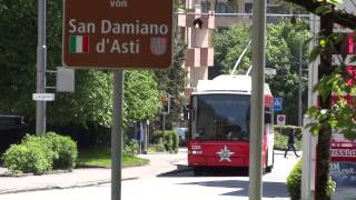 Vbl Double-Articulated Trolleybus 233