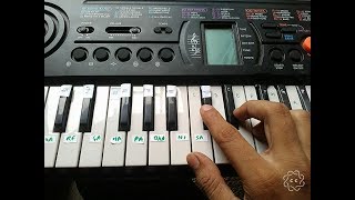 Do you know || diljit|| casio piyushsaraswat