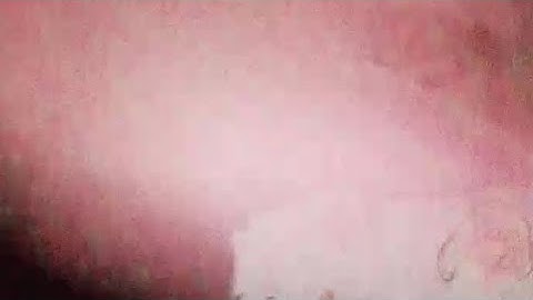 tugas informatika algoritma deskriptif kelas 9 -cara membuat nasi goreng