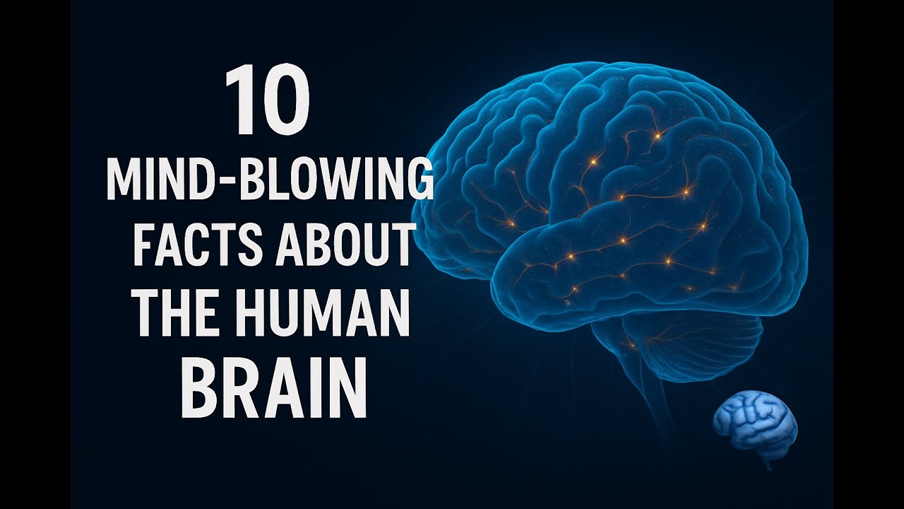 10 Mind-Blowing Facts About the Human Brain 🧠 | You Won’t Believe #4! # ...
