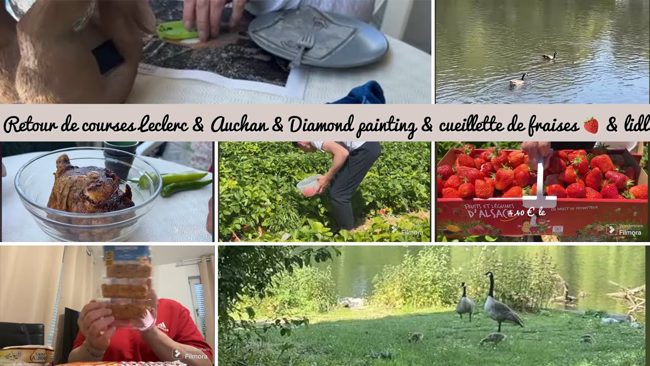 Retour de courses leclerc & Auchan & Diamond painting & cueillette de fraises & lidl