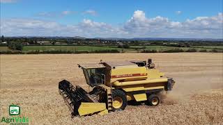 Wheat Harvest 2022. New Holland TF46 Combine