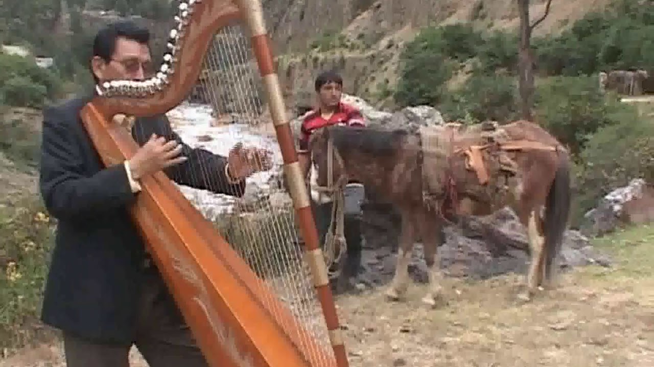 Caballo Viejo -  Arpa : MAURO FLORES.