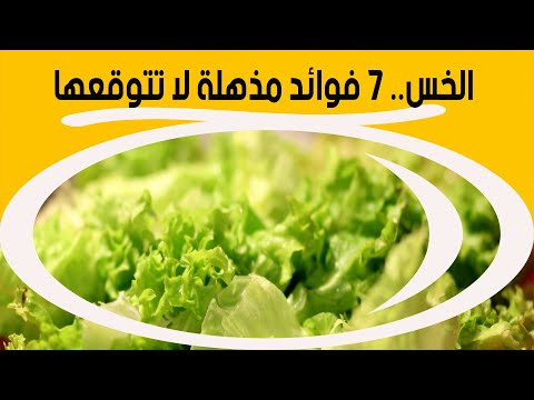 الخس 7 فوائد مذهلة لا تتوقعها